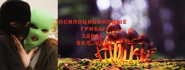PSILOCYBIN Абинск