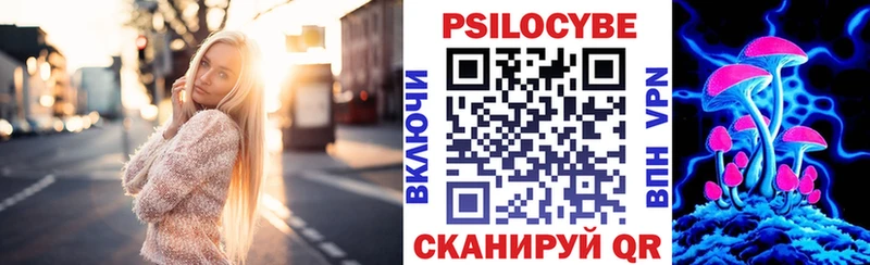купить закладку  Котовск  Галлюциногенные грибы мицелий 